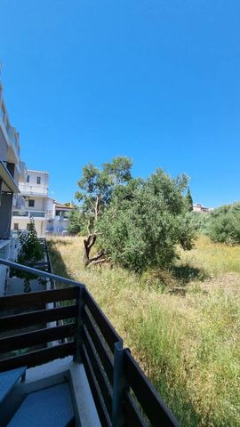 Διαμέρισμα για ενοικίαση Μποζαΐτικα (Πάτρα) - Φωτογραφία 5