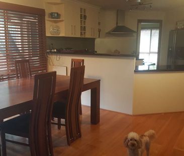 Boarding in Helensvale – popular meal option available Full Descrip... - Photo 2