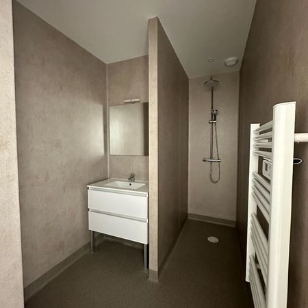 Location Appartement 1 pièce 24m² - Photo 4