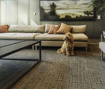 185 Lyon Street North, Centretown, Ottawa, ON - Photo 3