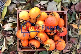 Moradia T3 em Viana do Castelo