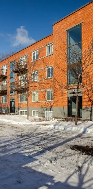 265, rue Riverside — 2 1/2 - Photo 1