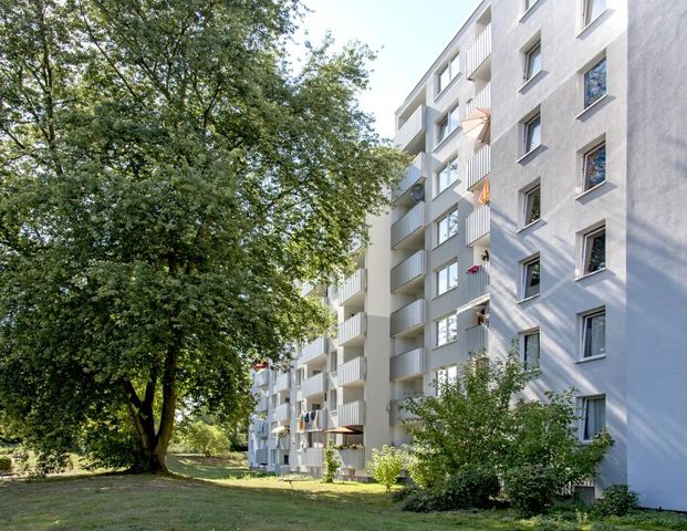 3-Zimmer-Wohnung in Neuss Erfttal - Photo 1