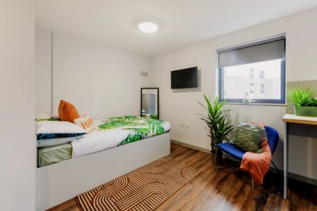 Premium Studio - Photo 4