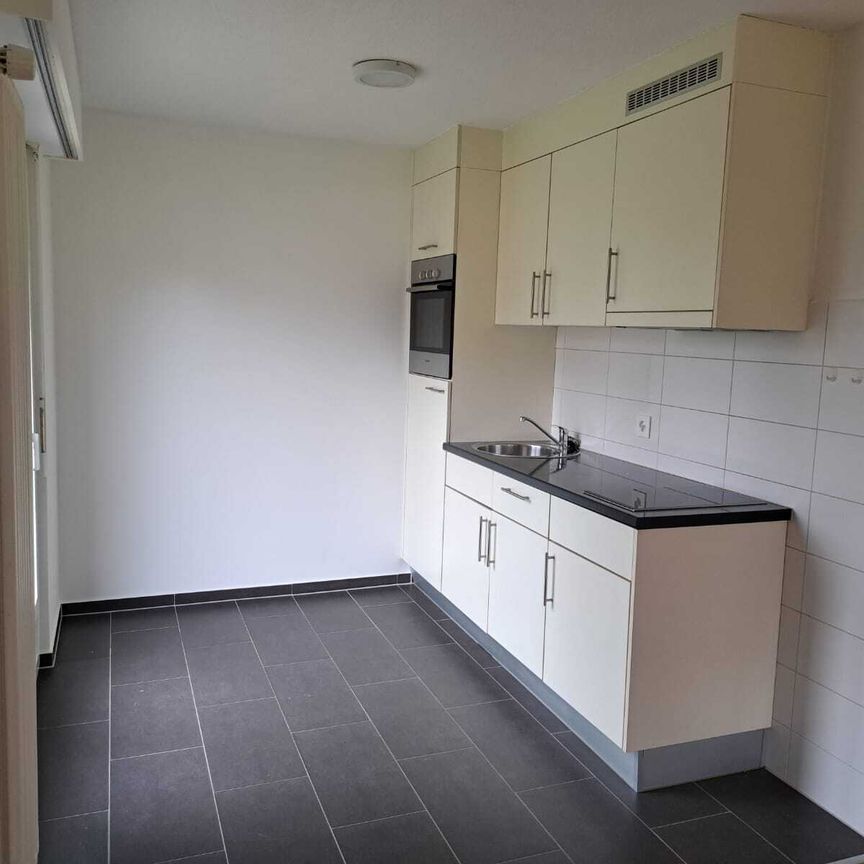APPARTEMENT RENOVE AVEC TERRASSE ET ASCENSEUR - Foto 1