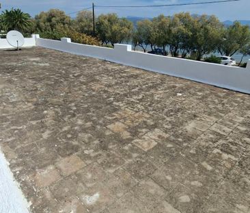 Μονοκατοικία για ενοικίαση Παραλία Αυλίδας (Αυλίδα) - Φωτογραφία 4