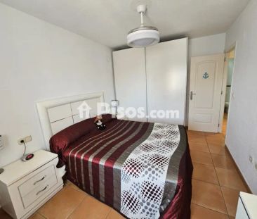 Piso en alquiler en Urbanización Santa Rosa-Generación del 27 - Photo 6