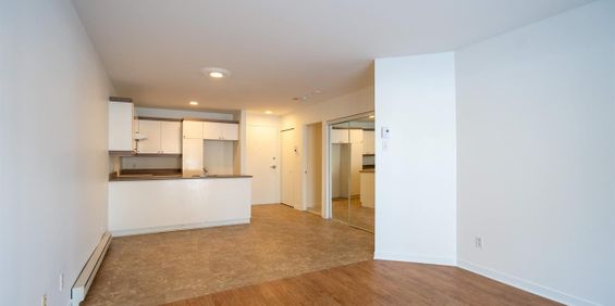 1 CH - 1 SDB - Saint-Charles-Borromée - $1,145 /mo - Photo 3