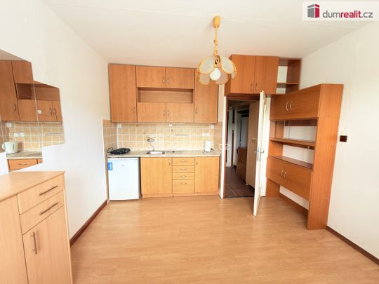 Pronájem bytu 1+kk a garsoniéry 20 m², Tolstého 1219, Ústí nad Labem - Photo 1