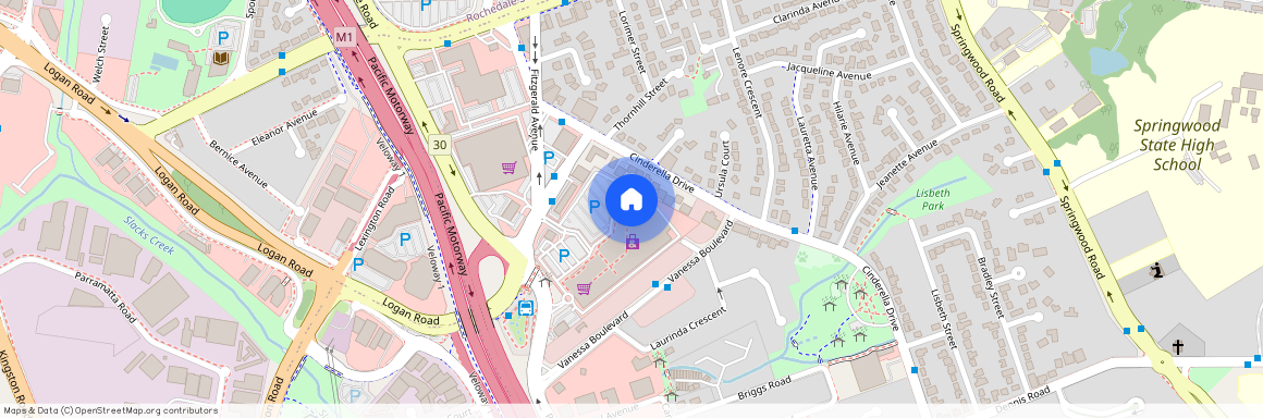 1/3 Withington Street East Brisbane, QLD 4169