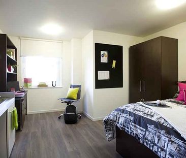 Gold Studio - Photo 6