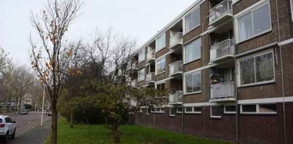 Nedersticht, 1083 Amsterdam, Nederland - Photo 2