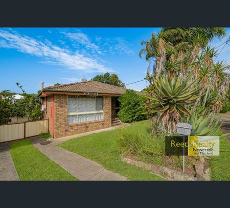33 Wakool Street, Windale, NSW 2306 - Photo 4