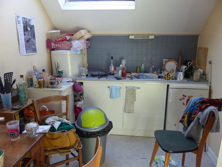 Location Appartement 1 pièce 27m² ANGERS 49100 - Photo 4