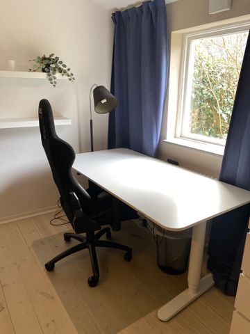 Sveagatan, Limhamn - Photo 2