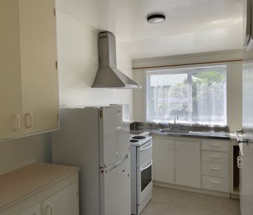 NAENAE LIVING - Spacious one bedroom Unit - Photo 1