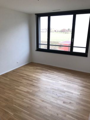 4.5-ZW à 94 m² im schönen Seeland - Foto 1
