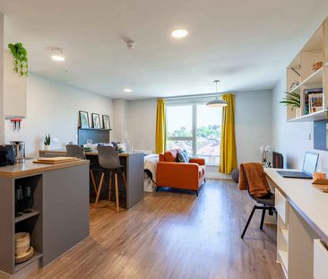 Luxury Studio - Photo 4