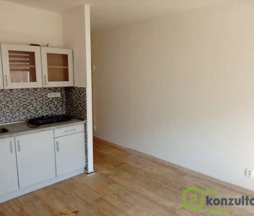 Neštěmice byt pronájem - Photo 2