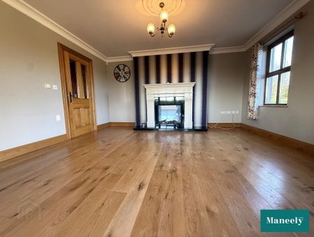 247 Mountjoy Road, Stewartstown, Dungannon, BT71 5ES - Photo 4