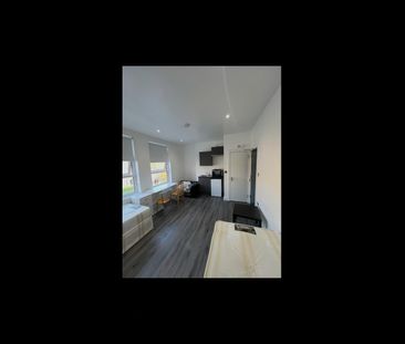 Studio Flat, Tottenham Lane, N8 - Photo 4