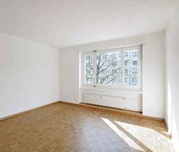 Près de Novartis, Klybeck - Photo 4