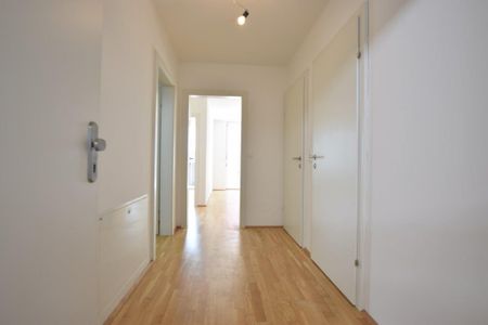 Liebenau – 52m² – 3 Zimmer Wohnung – großer innenhofseitiger Balkon - Photo 4