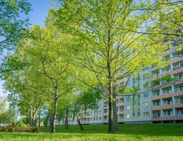 3-Raum-Wohnung - Photo 1