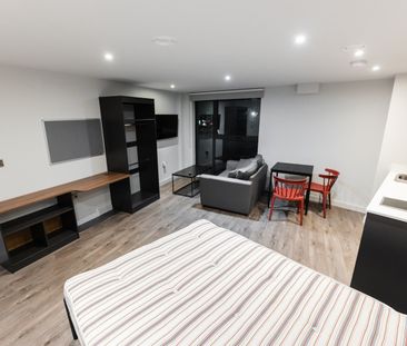Studio Flat, Low Hill, L6 - Photo 5