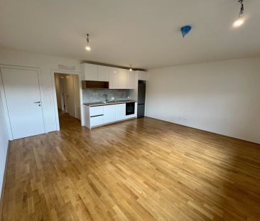 SONNWEND – LIVING! ERSTBEZUG - KÜCHE - KLIMA - BESCHATTUNG - U1 NÄHE! - Photo 6
