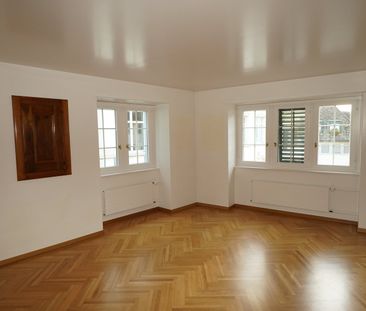 Charmante 3-Zimmer-Wohnung mit Balkon in der Zürcher Altstadt - Photo 1