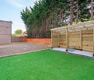 Mixed use to rent - Photo 6