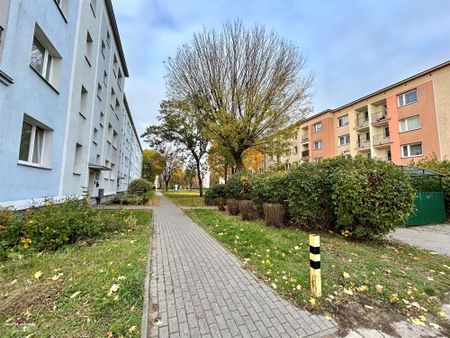 Grudziądz Mieszkanie na wynajem - Zdjęcie 2