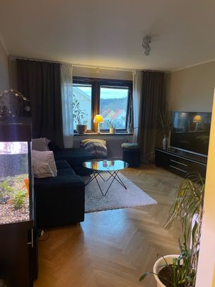 Göteborgsvägen, Uddevalla - Foto 1