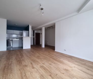 Location Appartement 1 pièce 43m² - Photo 4