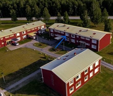 3 rok, Björnstigen 8, 2025-08-01 - Foto 1
