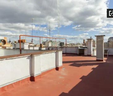 Madrid - Photo 6
