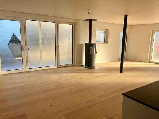 Modern 4.5-room apartment with ideal connections in Rohrbachgraben - Foto 1