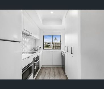 R1/157 Stringybark Road, Buderim, Qld 4556 - Photo 5