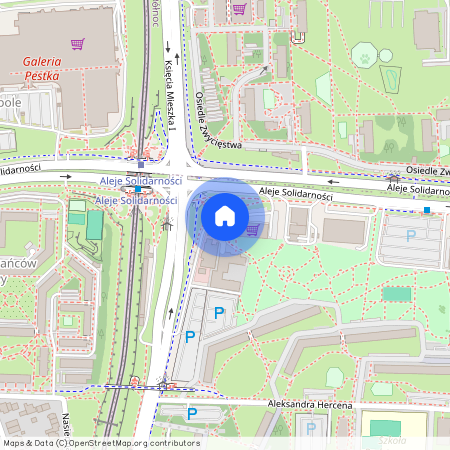 ul. Księcia Mieszka I I, Winogrady, Stare Miasto, Poznań, wielkopolskie