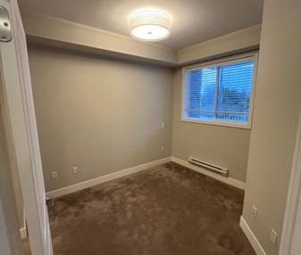 1 Bed 1 Bathroom apartment- March 1st! - Photo 4