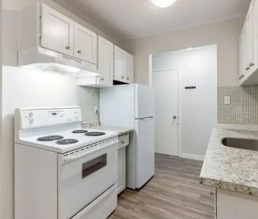 2 Bedroom - Photo 6
