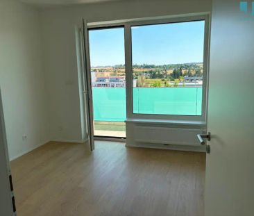 Pronájem bytu 4kk, Třebíč, Terůvky, 120 m - Fotografie 6