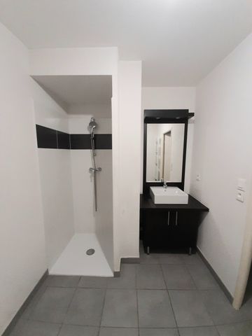 Location Appartement 1 pièce 25m² LAUNAGUET 31140 - Photo 3