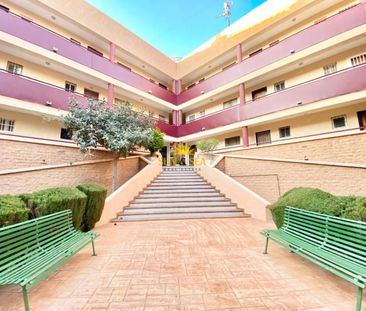 1 BEDROOM APARTMENT FOR RENT - MIL PALMERAS - Photo 4