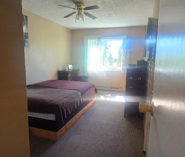 210E Evergreen Apt: 1 bd, 1 bath June 1 2026 - Photo 1