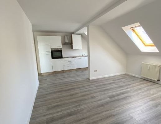 3 Raum Wohnung mit EinbaukÃ¼che nach Renovierung zu vermieten Werdau - Leubnitz - Photo 1
