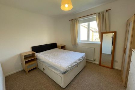 Acorn Grove - Photo 2