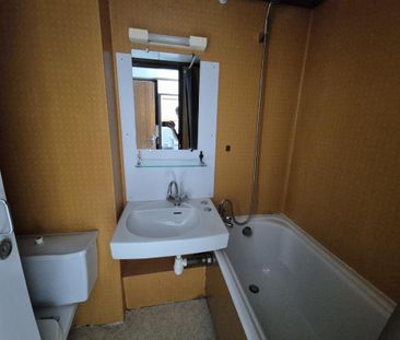 Location Appartement 1 pièce 17m² VANDOEUVRE LES NANCY 54500 - Photo 4