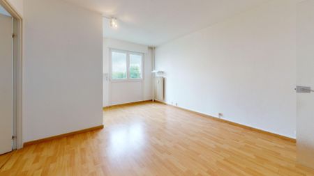 À louer : Charmant appartement 2 pièces à Mulhouse avec balcon et garage fermé en sous sol ! - Photo 4